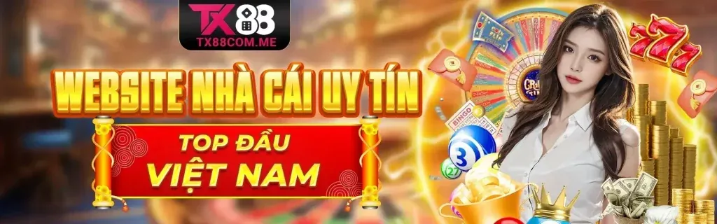 Hình ảnh giao diện cài đặt trình duyệt, minh họa cách quản lý cookie và kiểm soát quyền riêng tư