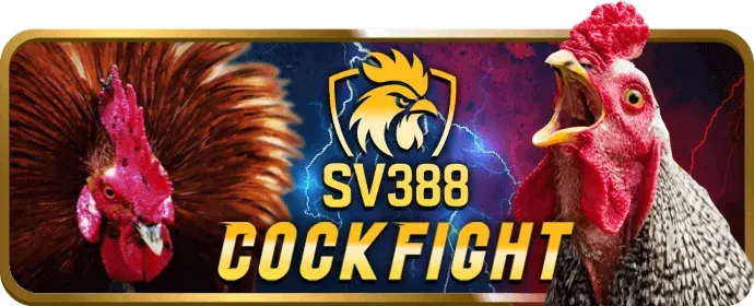 Cá cược thể thao tại mbet casino